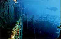 Diving Zenobia